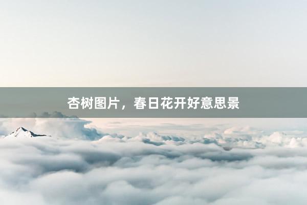 杏树图片，春日花开好意思景