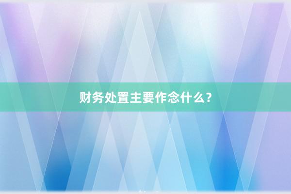 财务处置主要作念什么？